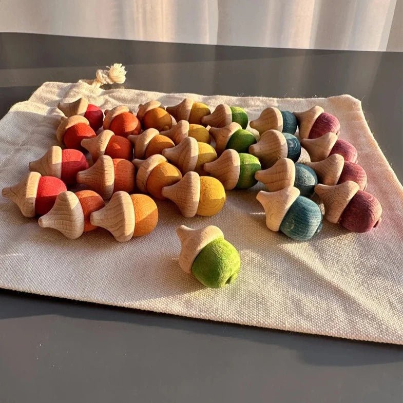 Montessori Rainbow and Pastel Beech Wood Acorns - Oliver & Company Montessori Toys