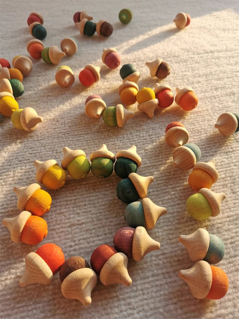 Montessori Rainbow and Pastel Beech Wood Acorns - Oliver & Company Montessori Toys