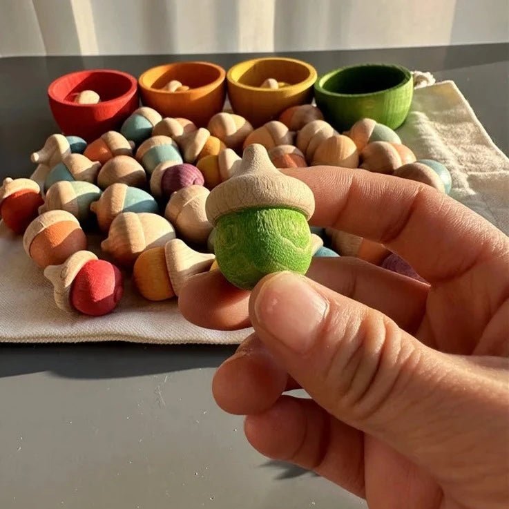 Montessori Rainbow and Pastel Beech Wood Acorns - Oliver & Company Montessori Toys