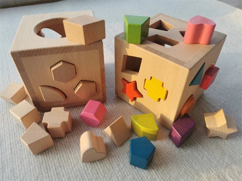 Montessori Shape Sorting Cube Toy with wooden blocks in various shapes, designed to enhance fine motor skills and spatial awareness for early learning and development.