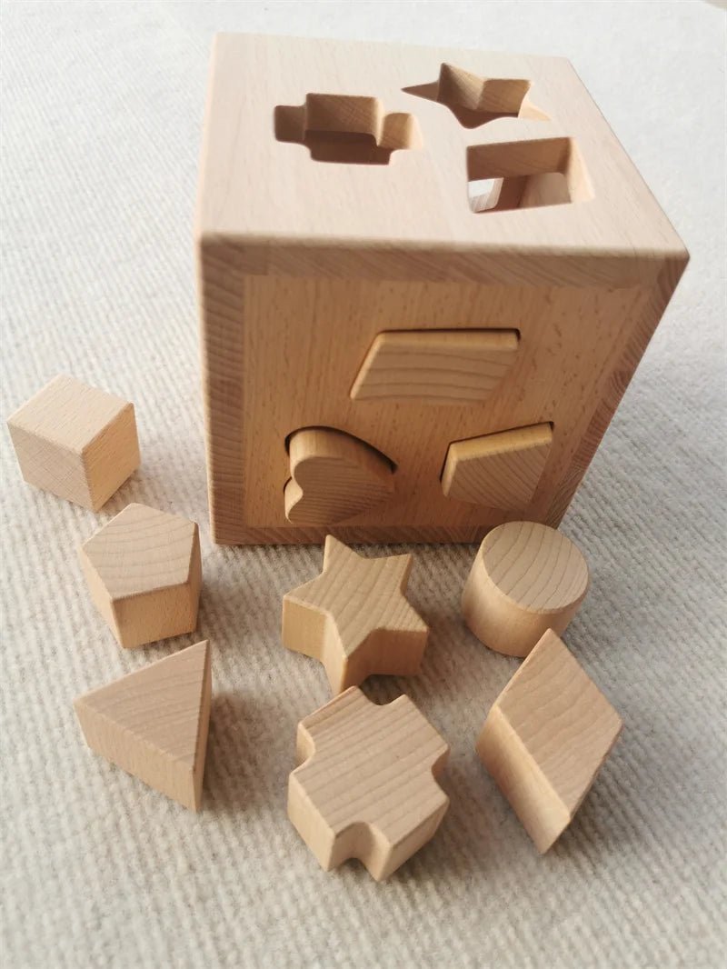 Montessori Shape Sorting Cube Toy - Oliver & Company Montessori Toys
