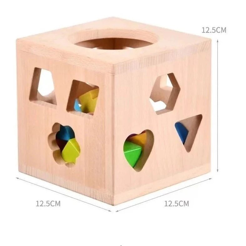 Montessori Shape Sorting Cube Toy - Oliver & Company Montessori Toys