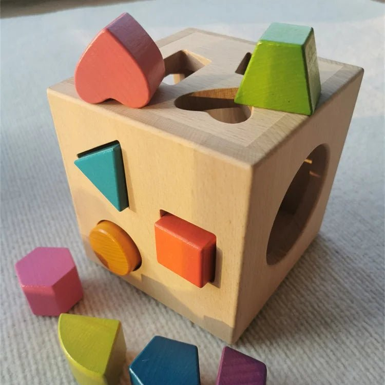 Montessori Shape Sorting Cube Toy - Oliver & Company Montessori Toys