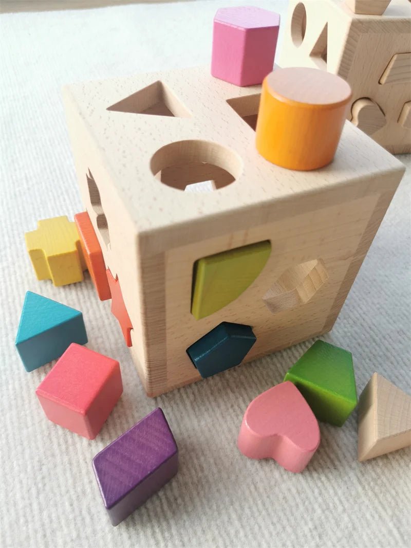 Montessori Shape Sorting Cube Toy - Oliver & Company Montessori Toys