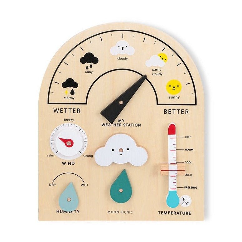 Montessori Weather Station - Oliver & Company Montessori Toys