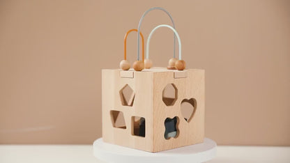 Montessori Wooden Geometric Shape Matching Box