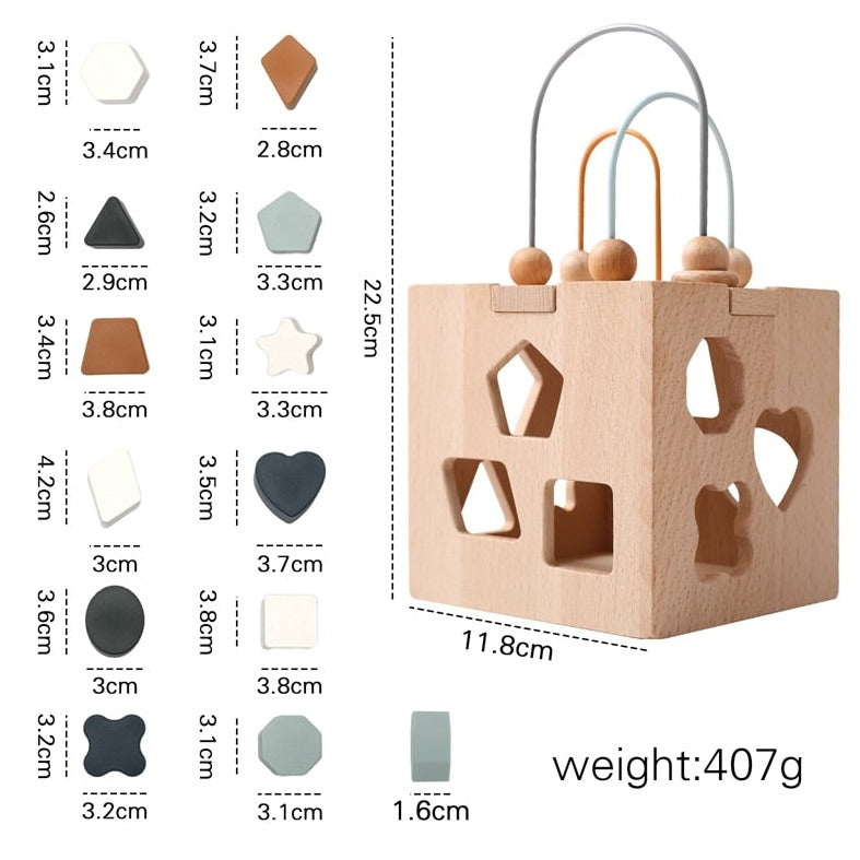 Montessori Wooden Geometric Shape Matching Box