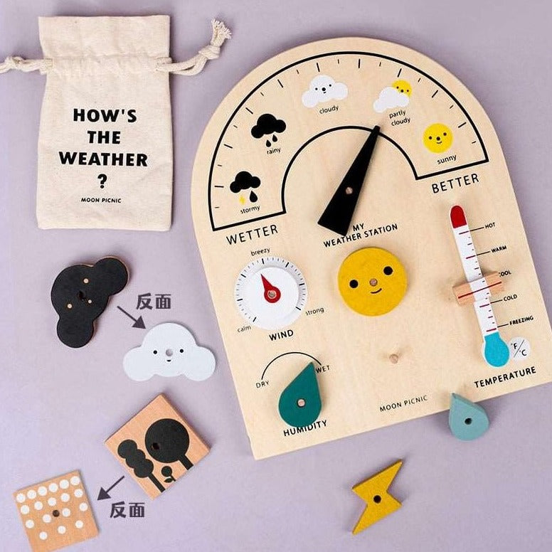 Montessori Wooden Learning Weather Station